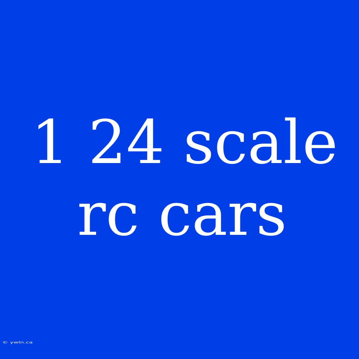 1 24 Scale Rc Cars