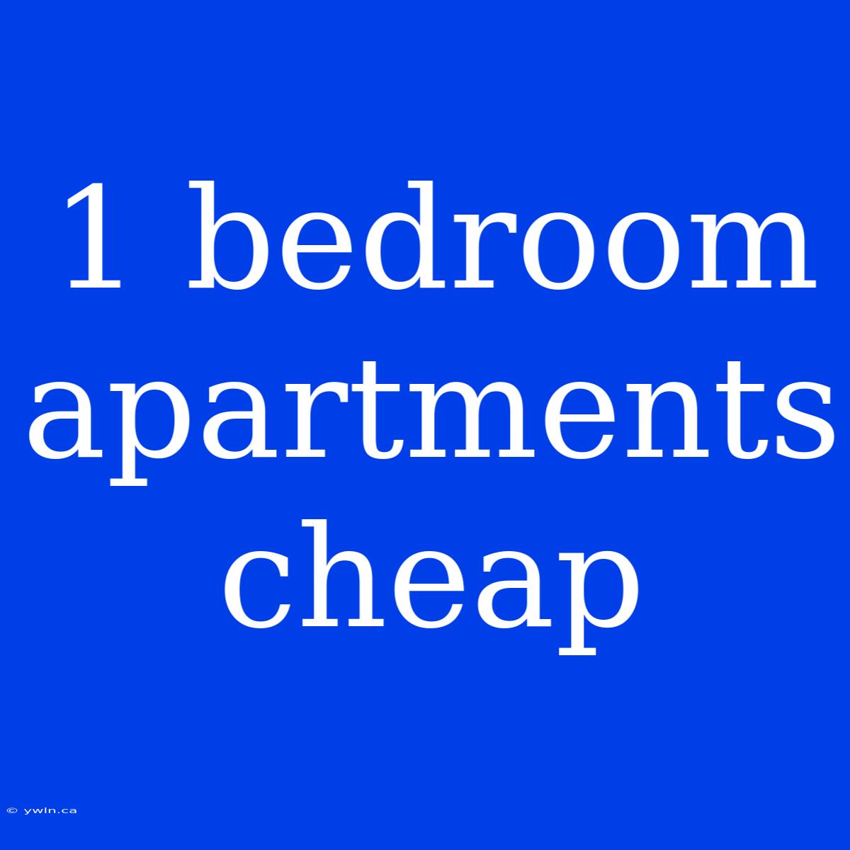 1 Bedroom Apartments Cheap