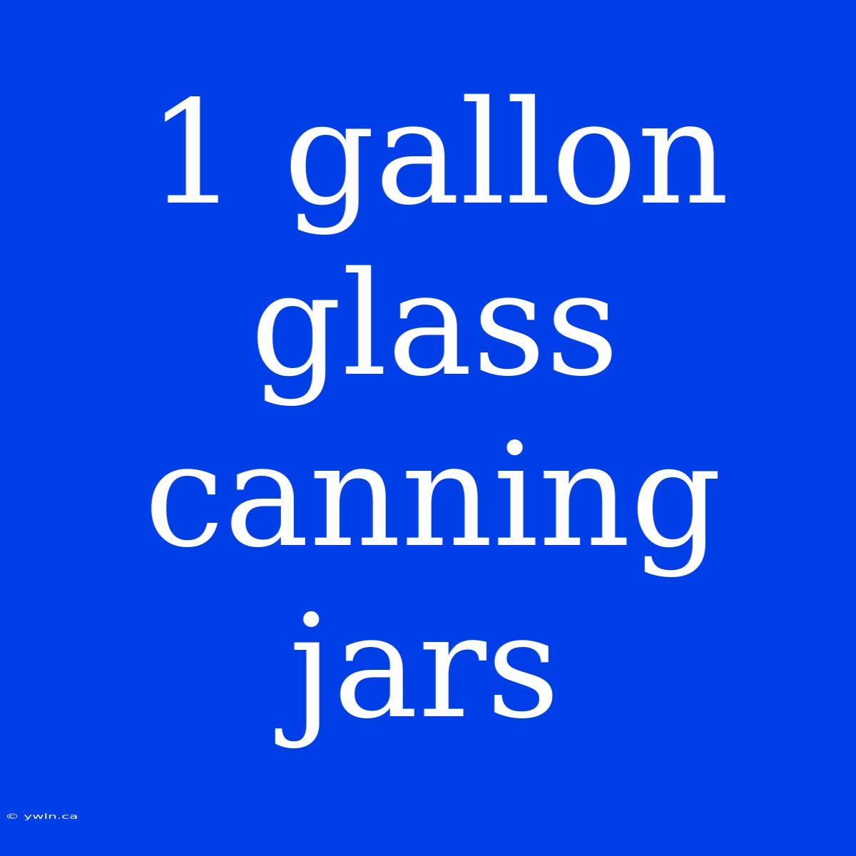 1 Gallon Glass Canning Jars