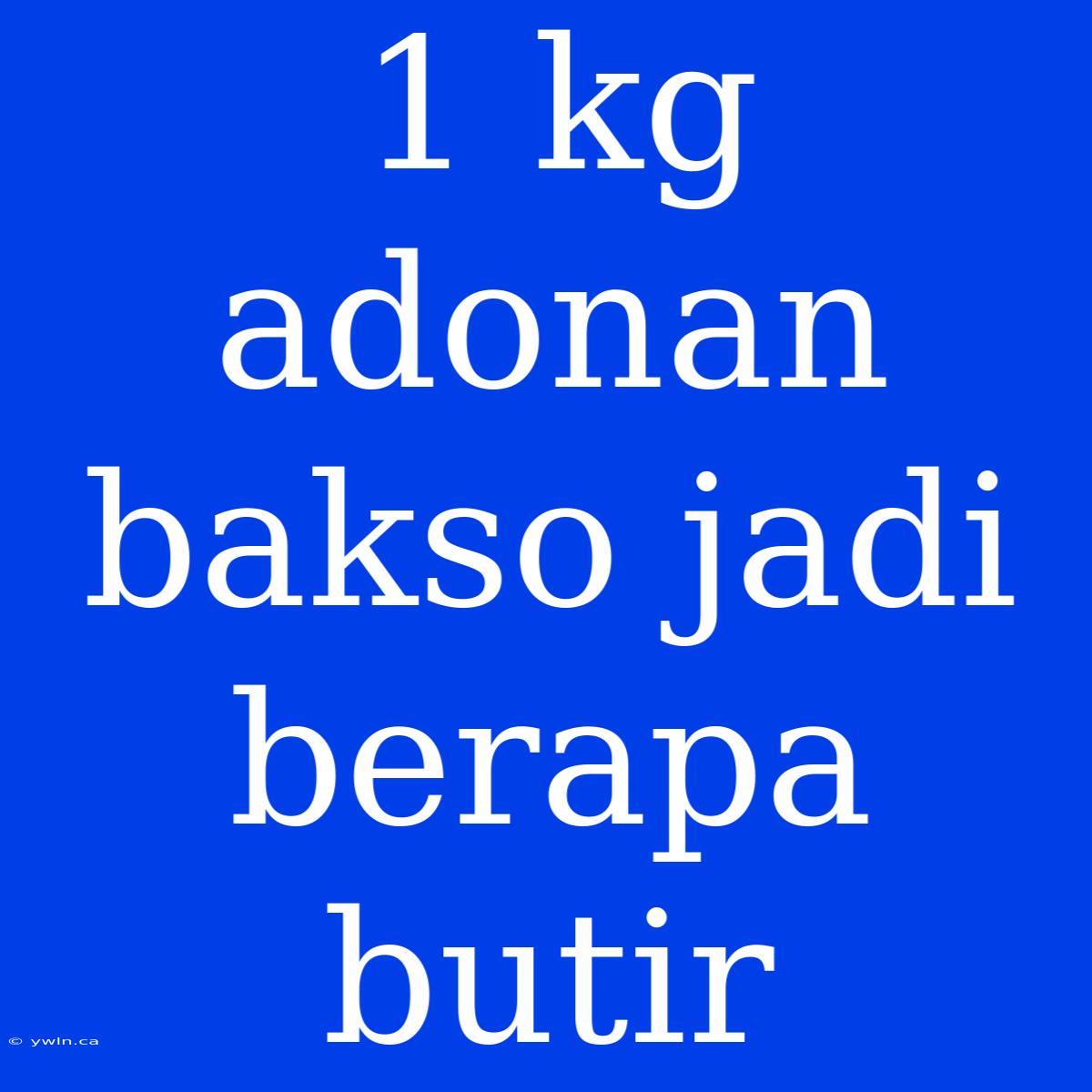 1 Kg Adonan Bakso Jadi Berapa Butir