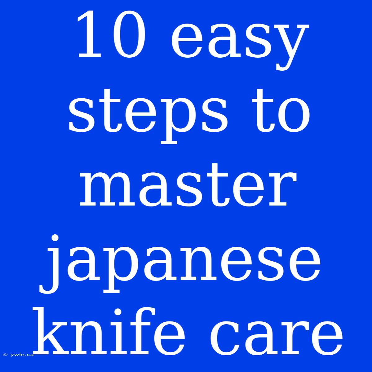 10 Easy Steps To Master Japanese Knife Care