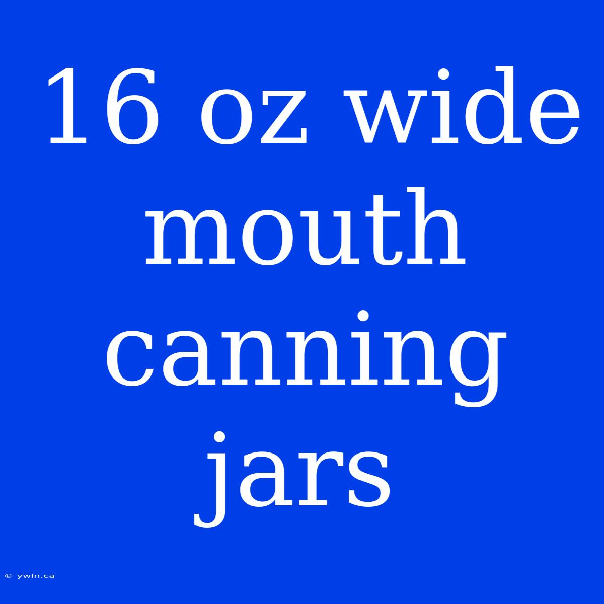 16 Oz Wide Mouth Canning Jars