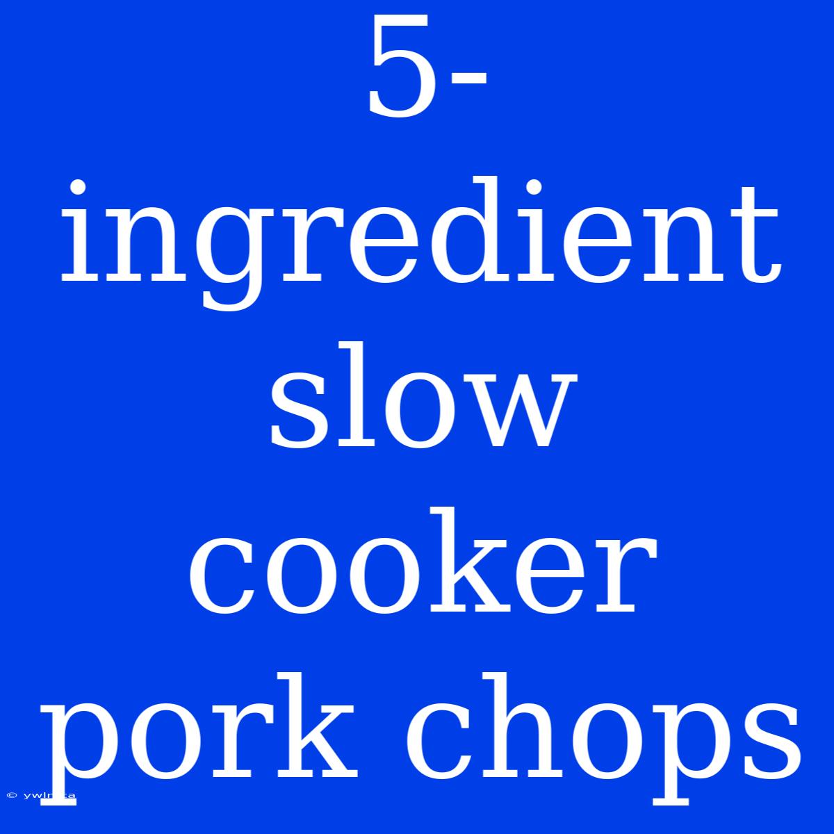 5-ingredient Slow Cooker Pork Chops