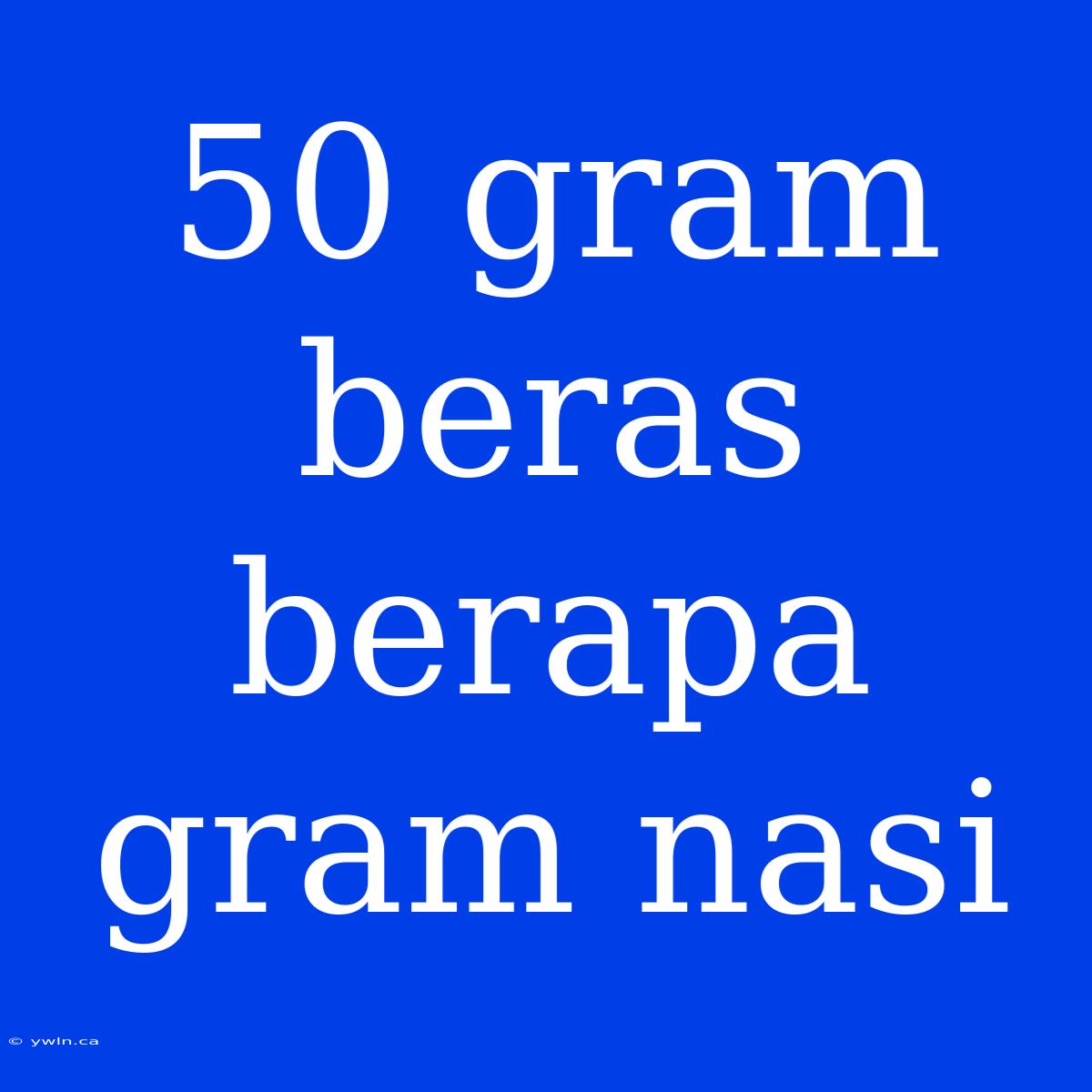 50 Gram Beras Berapa Gram Nasi