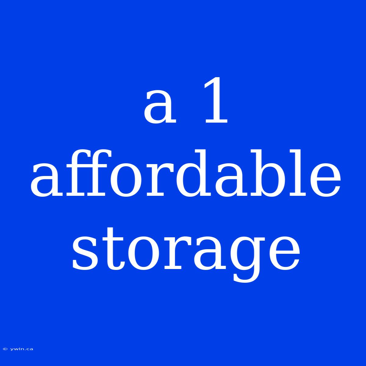 A 1 Affordable Storage