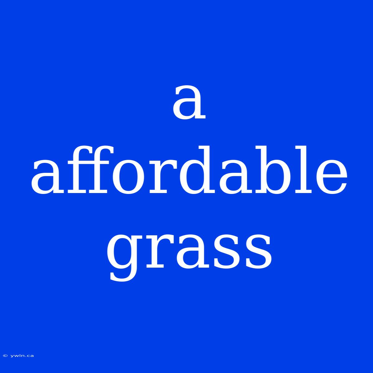 A Affordable Grass