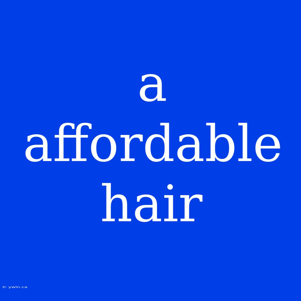 A Affordable Hair