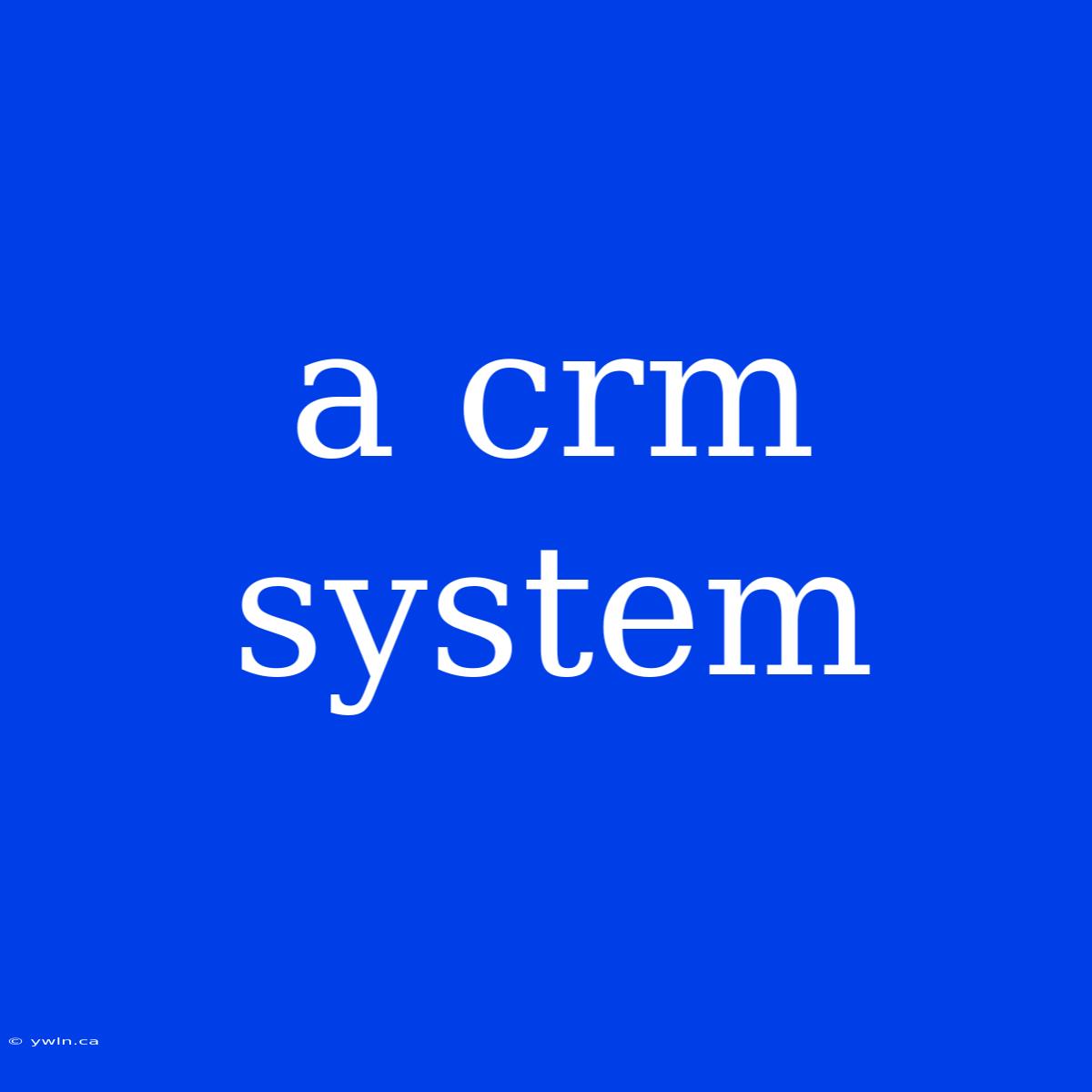 A Crm System