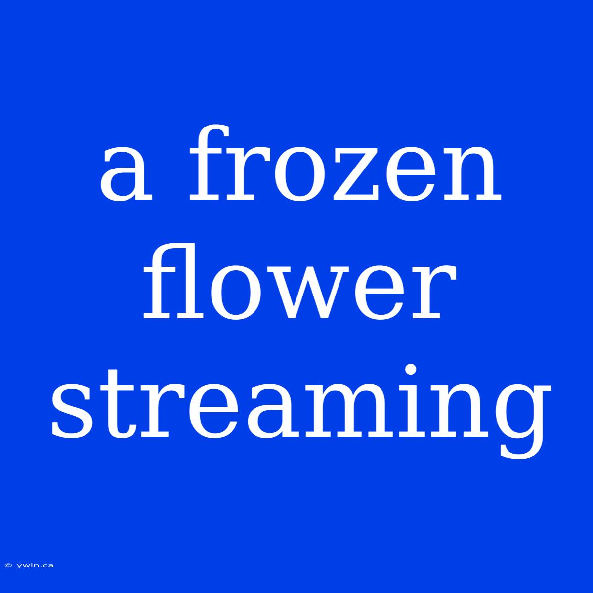 A Frozen Flower Streaming