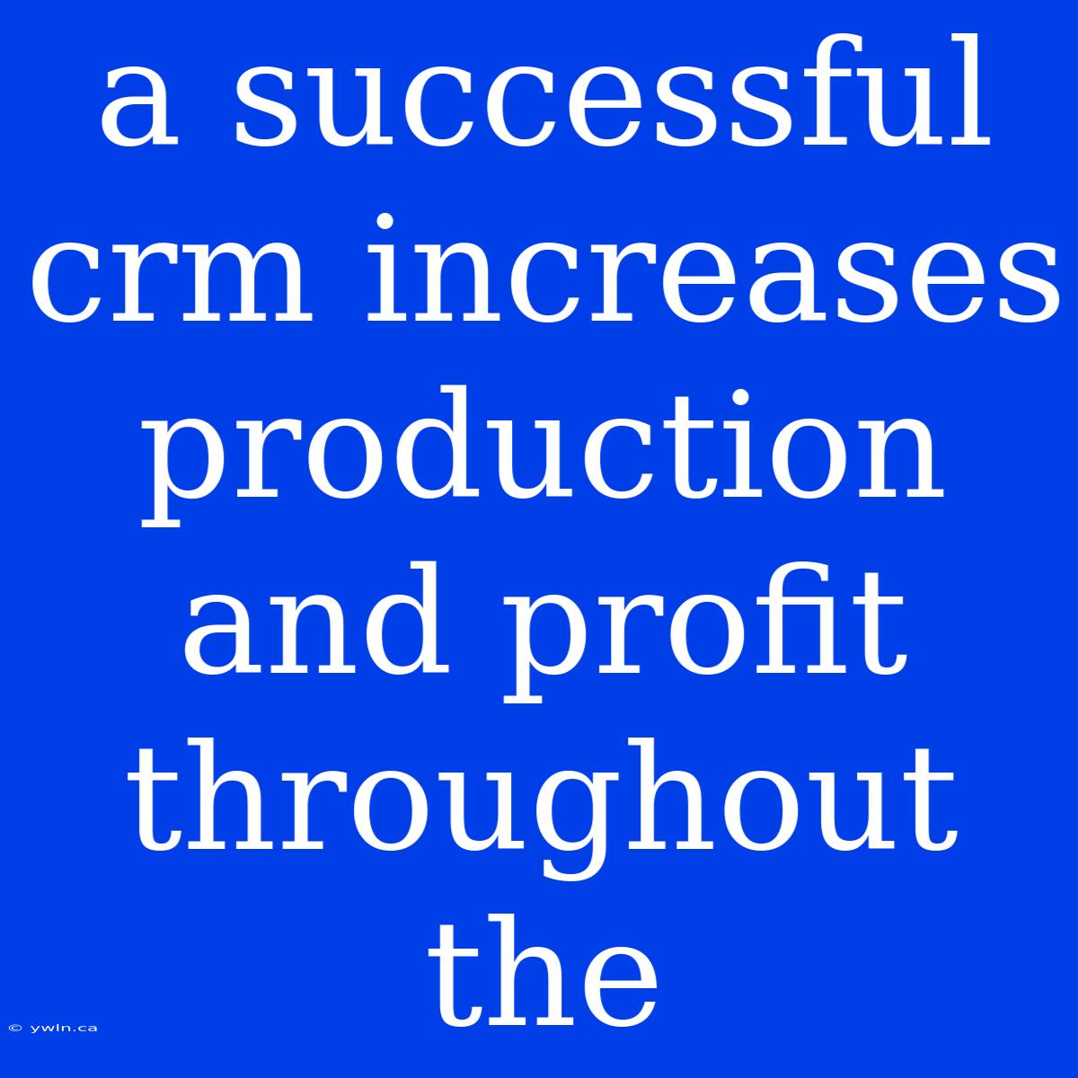 A Successful Crm Increases Production And Profit Throughout The