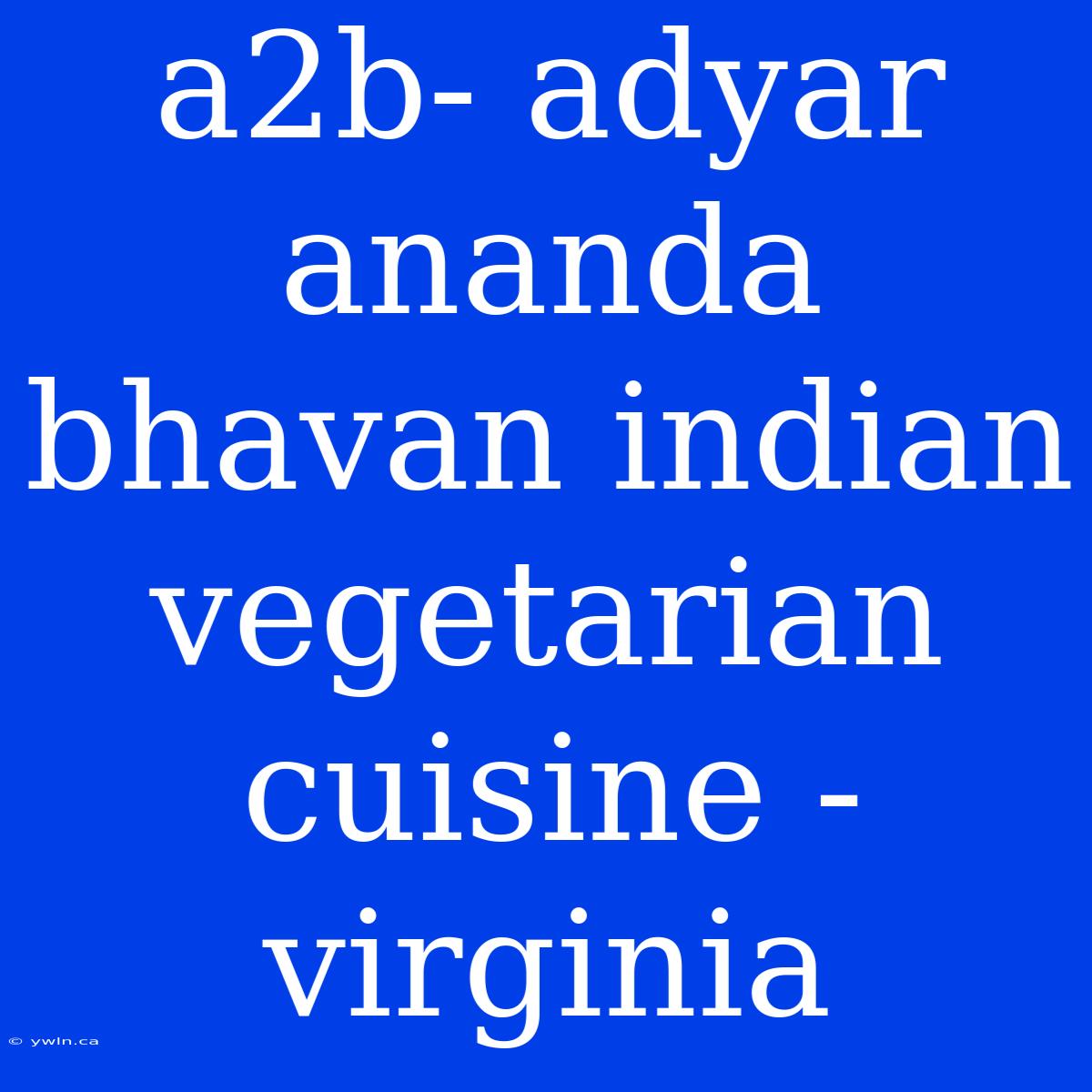 A2b- Adyar Ananda Bhavan Indian Vegetarian Cuisine - Virginia