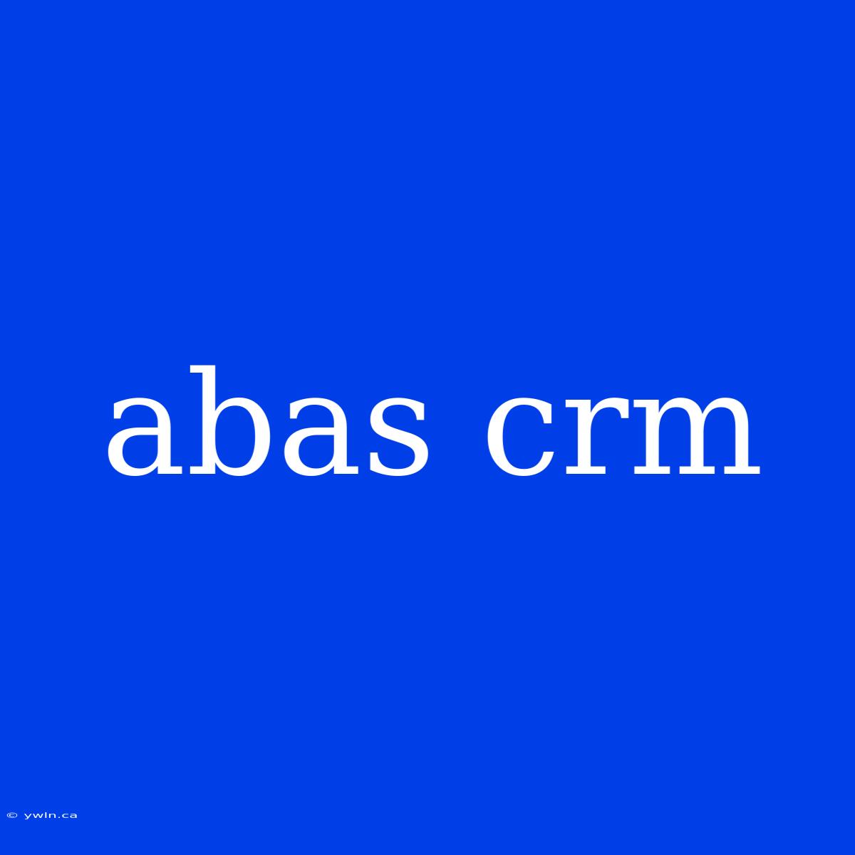 Abas Crm