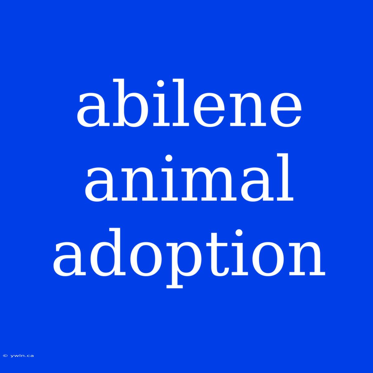 Abilene Animal Adoption