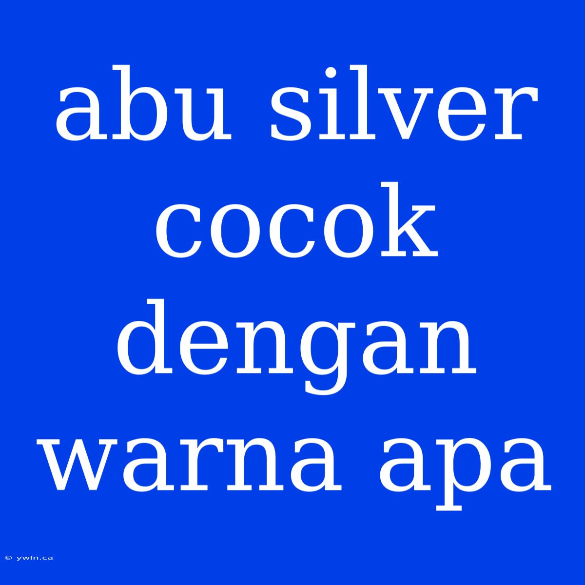 Abu Silver Cocok Dengan Warna Apa