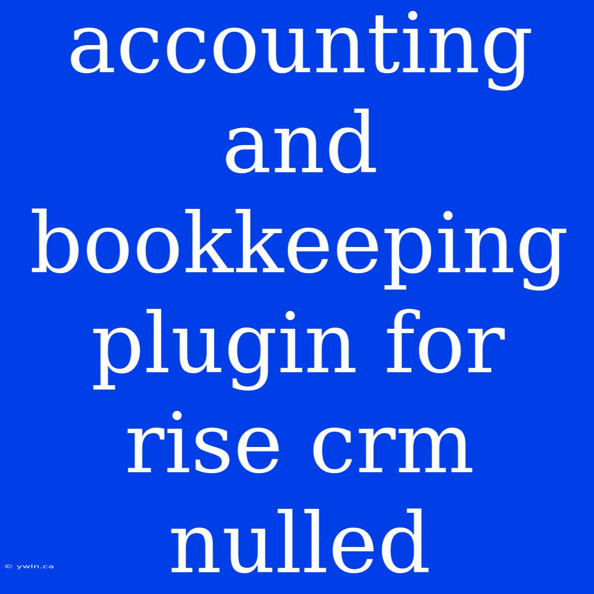 Accounting And Bookkeeping Plugin For Rise Crm Nulled