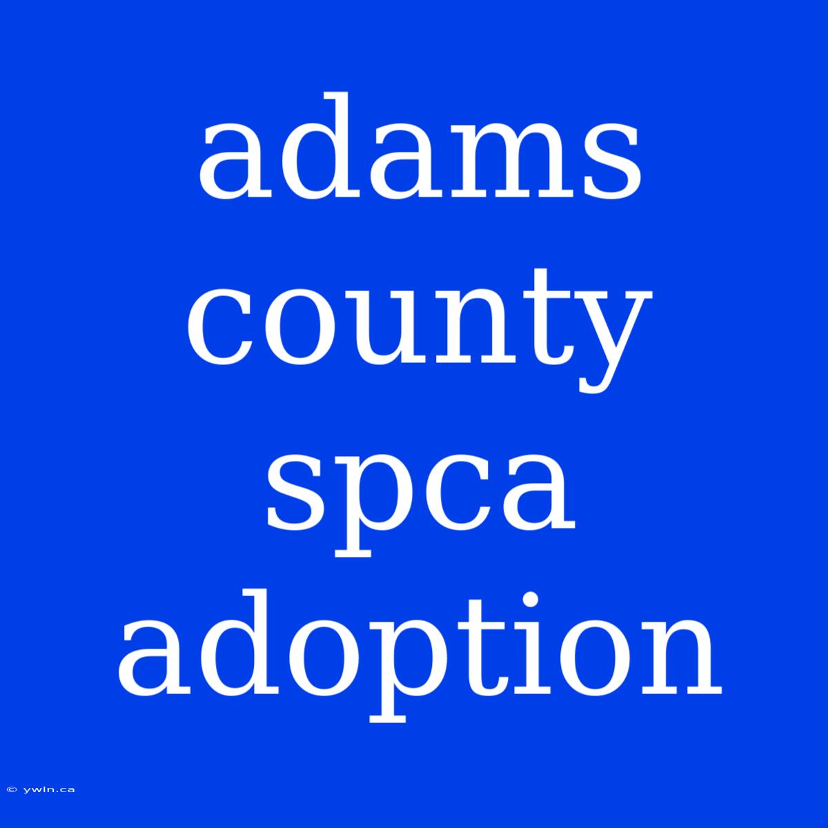 Adams County Spca Adoption