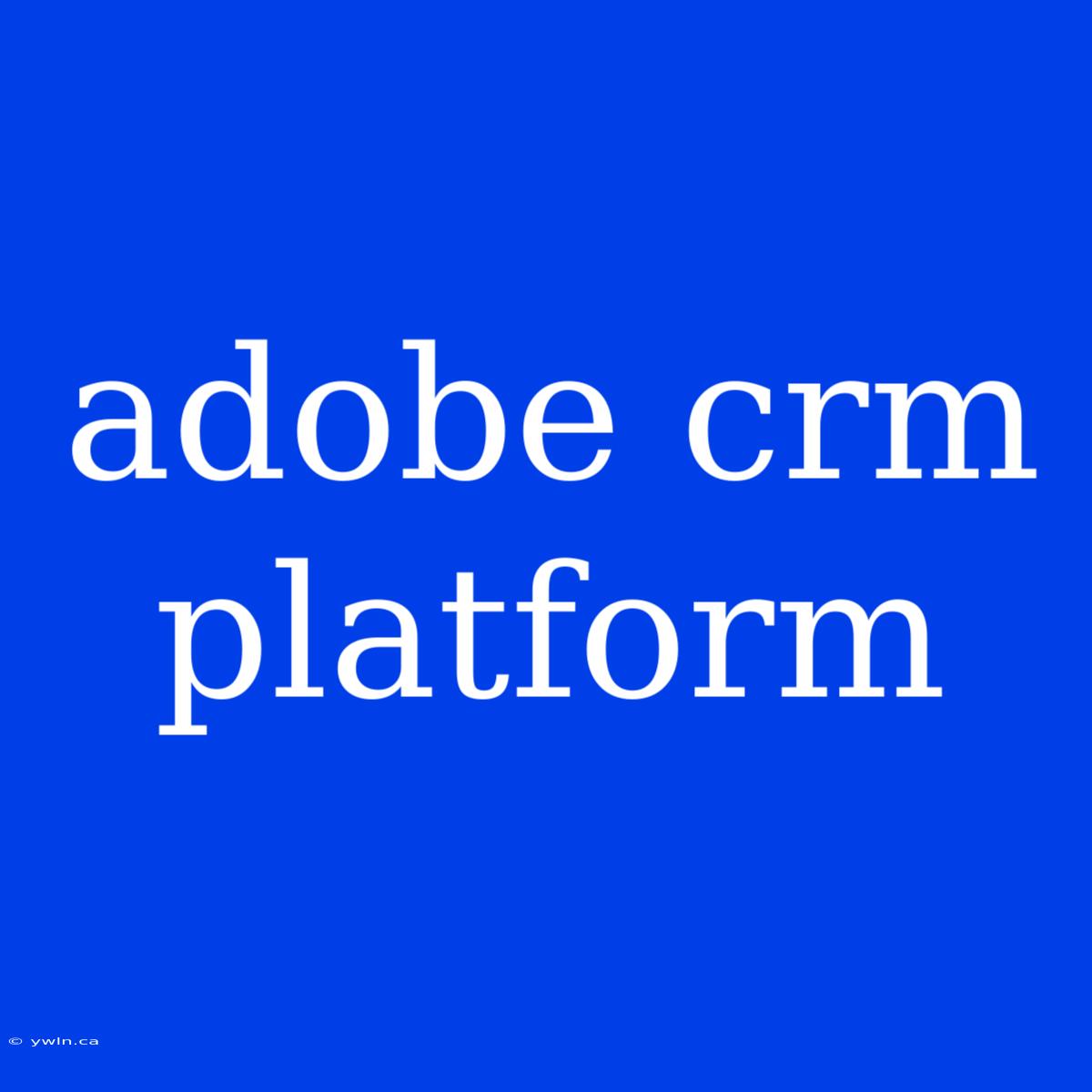 Adobe Crm Platform