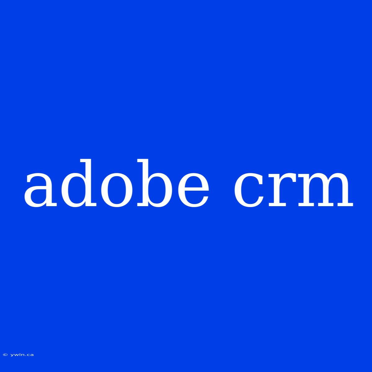 Adobe Crm