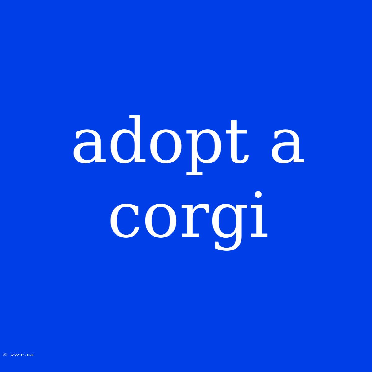 Adopt A Corgi