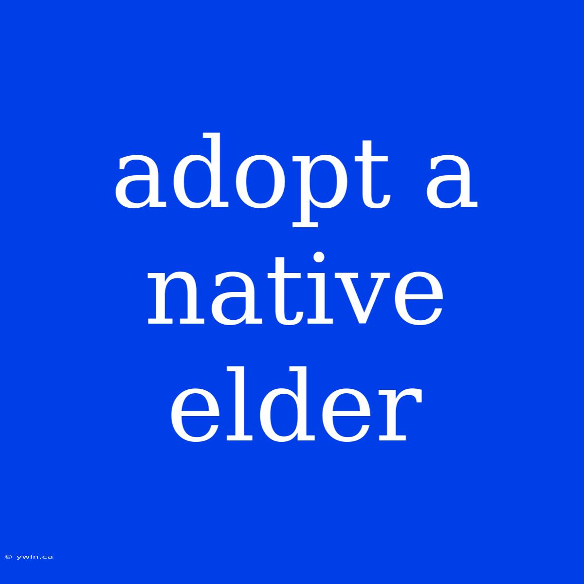 Adopt A Native Elder