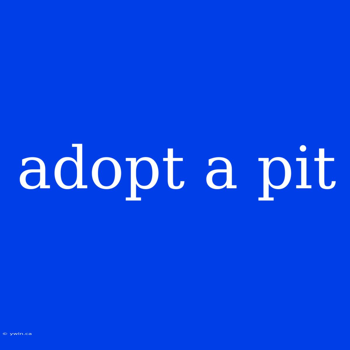 Adopt A Pit