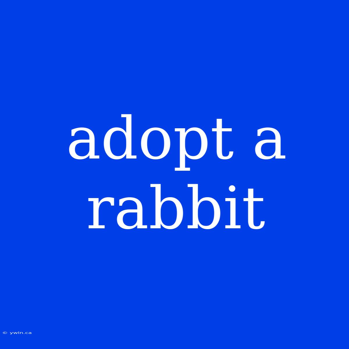 Adopt A Rabbit