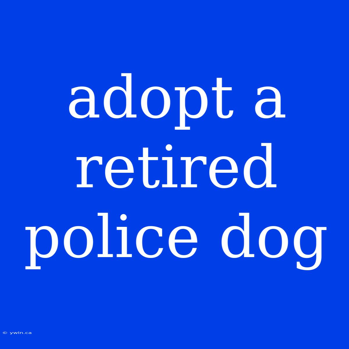 Adopt A Retired Police Dog