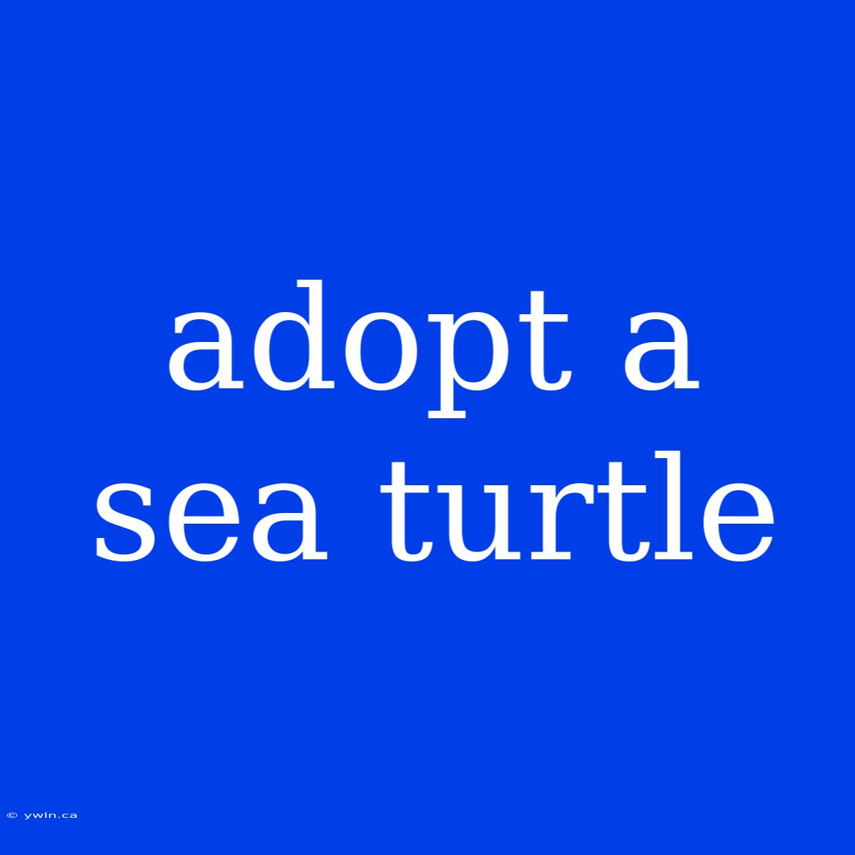 Adopt A Sea Turtle