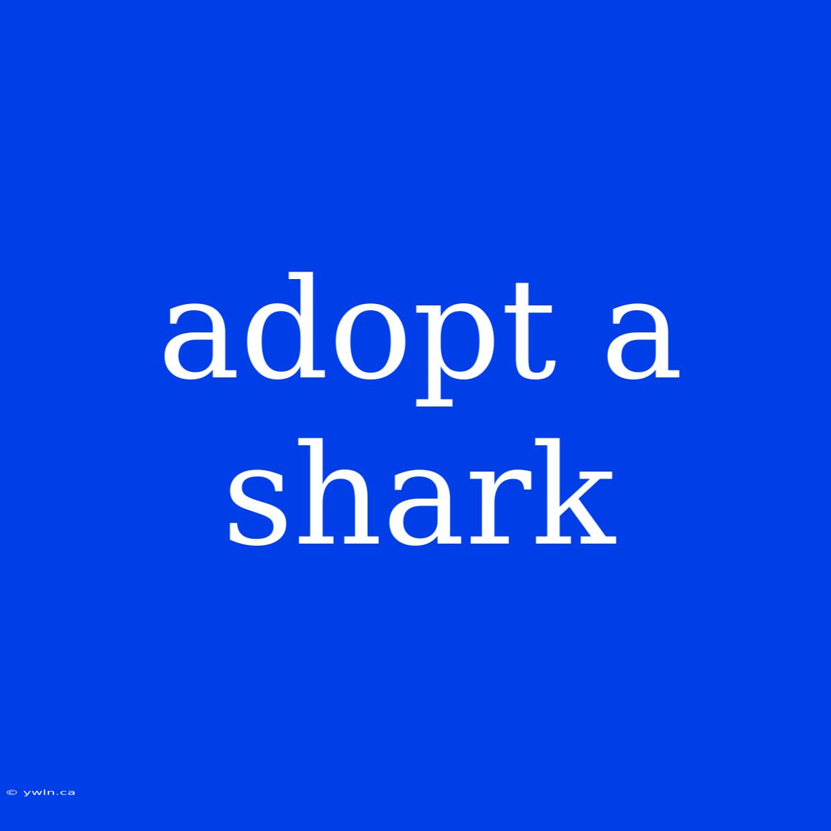 Adopt A Shark