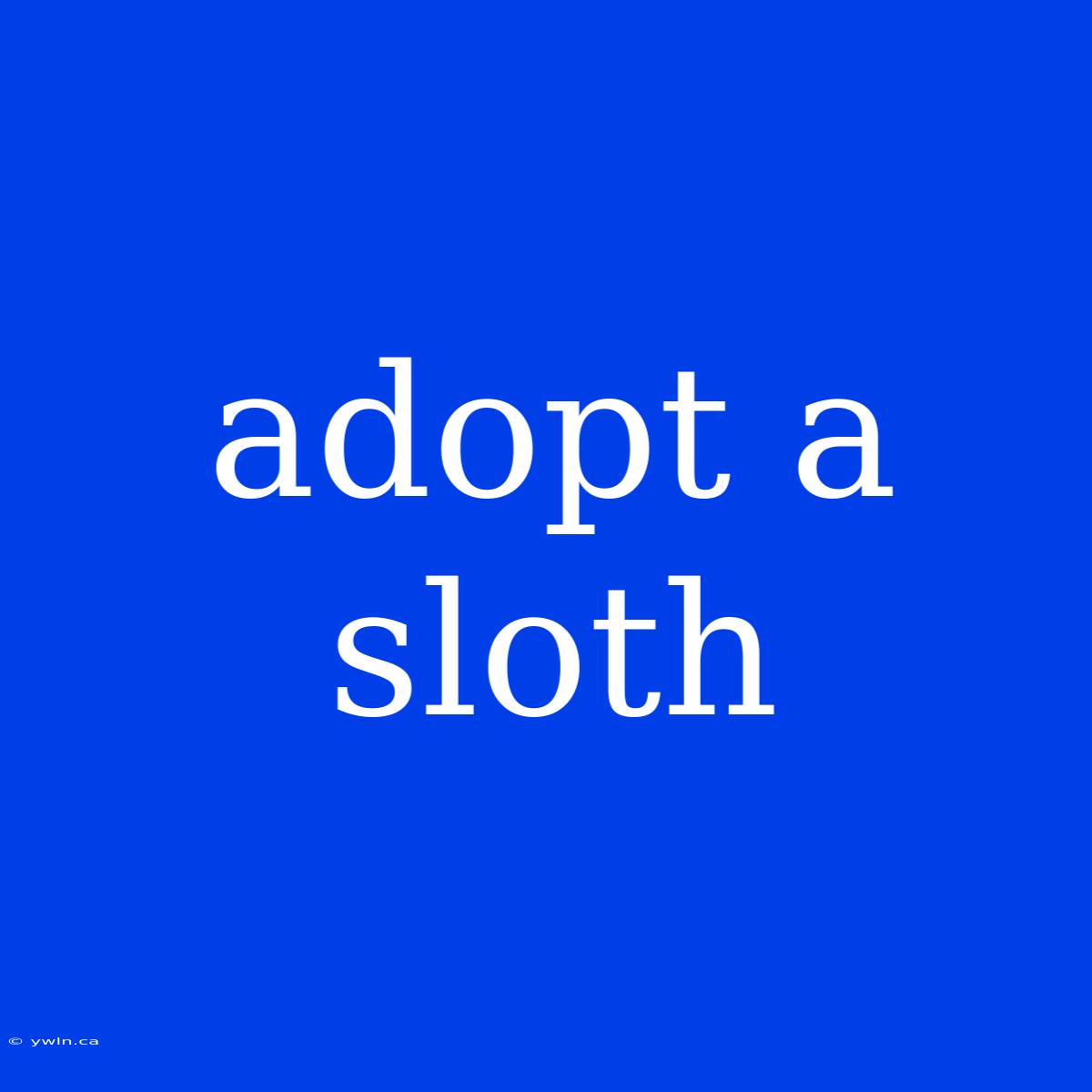 Adopt A Sloth