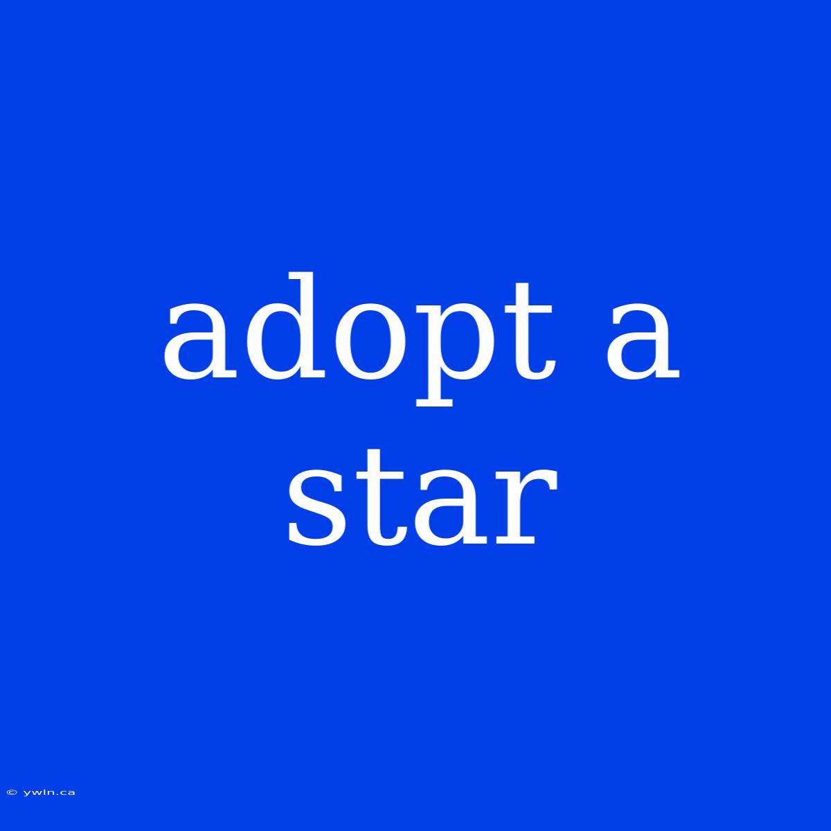 Adopt A Star