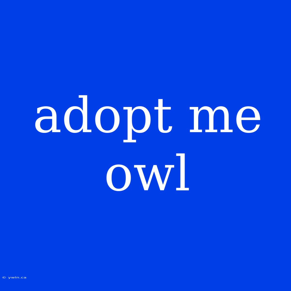 Adopt Me Owl