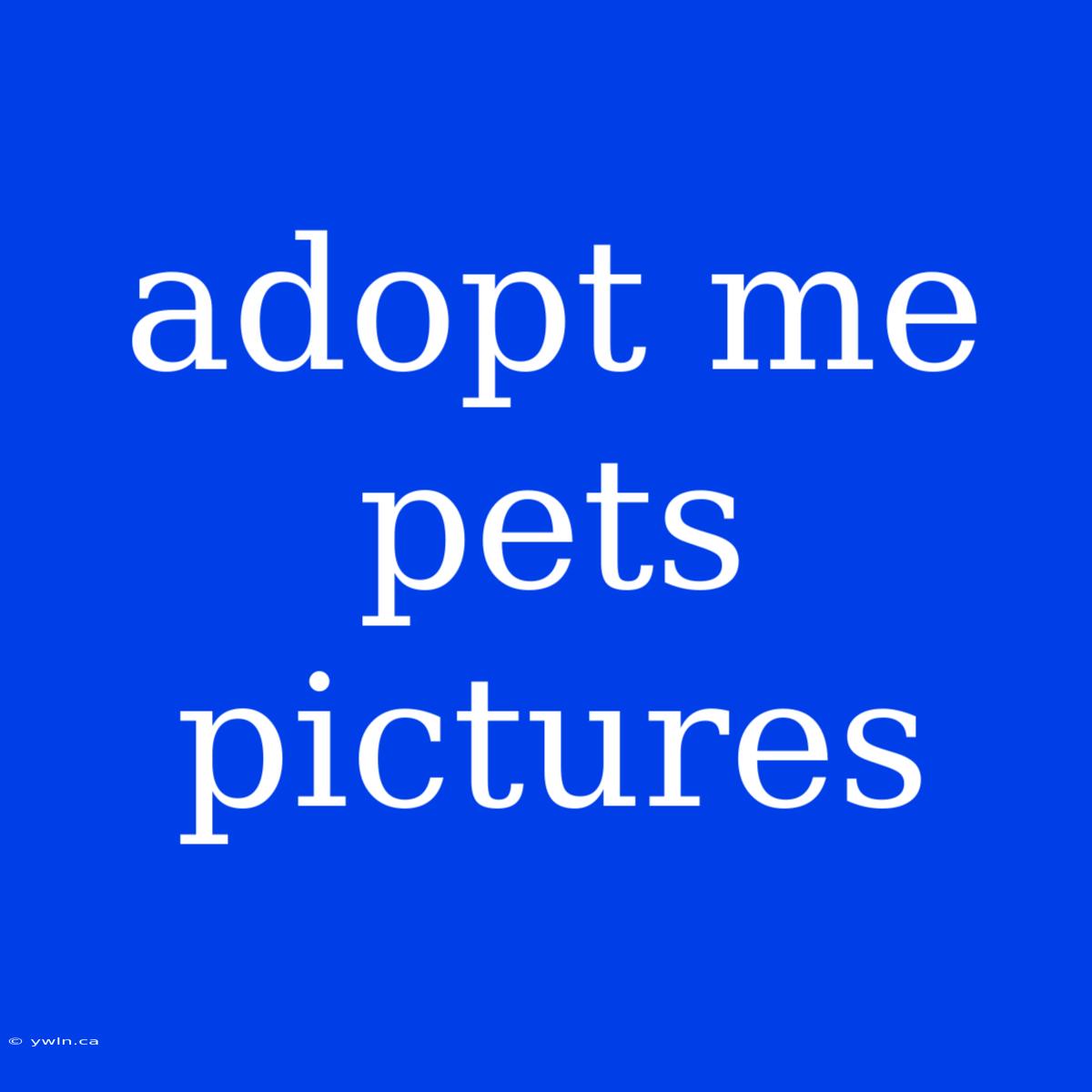 Adopt Me Pets Pictures