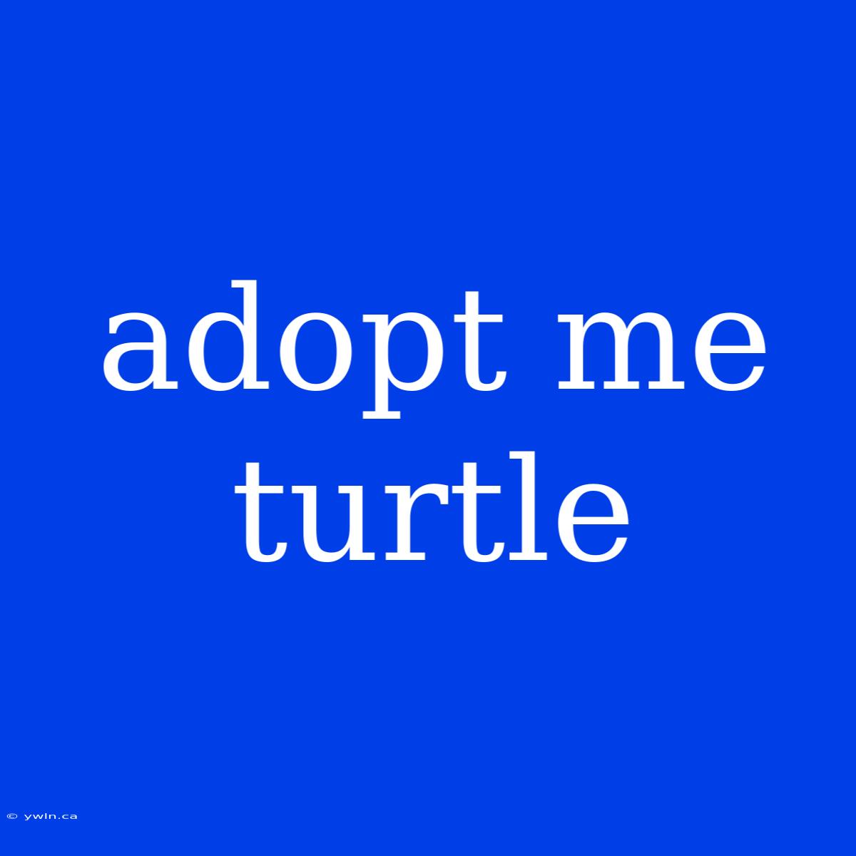 Adopt Me Turtle