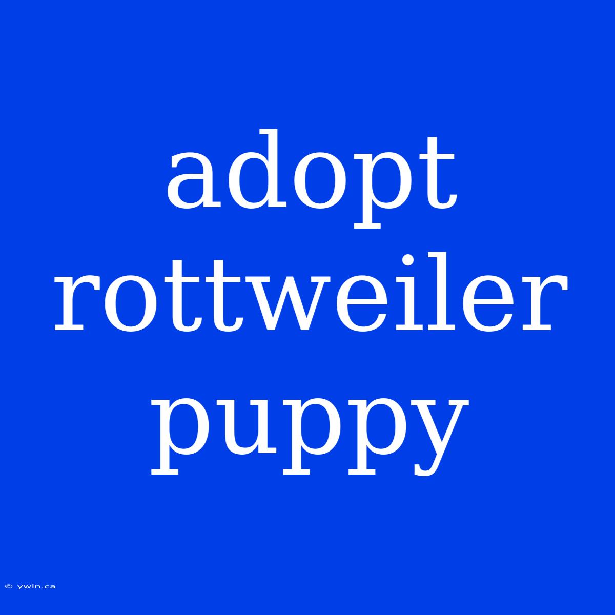 Adopt Rottweiler Puppy