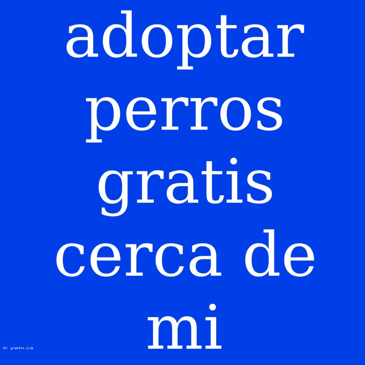 Adoptar Perros Gratis Cerca De Mi