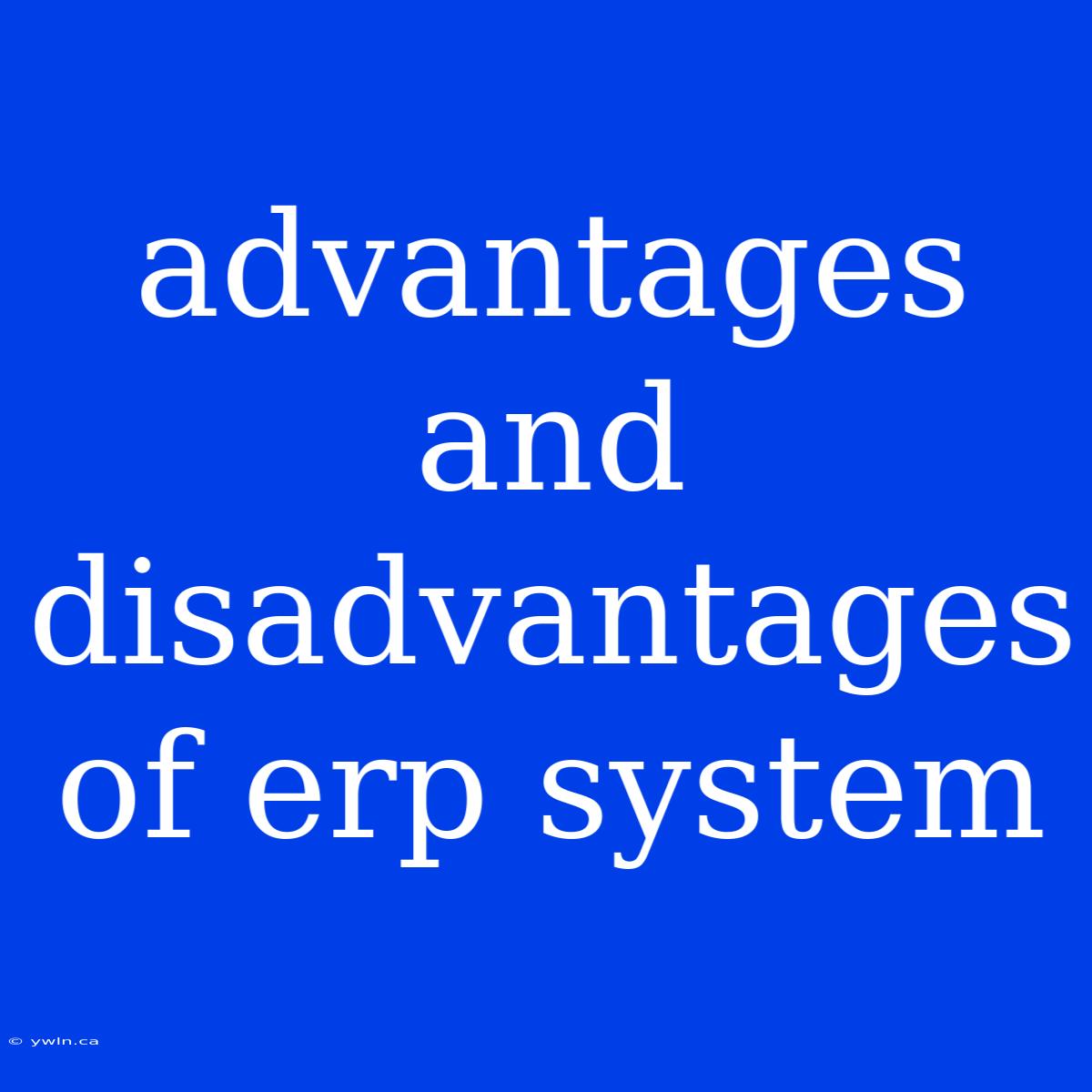 Advantages And Disadvantages Of Erp System