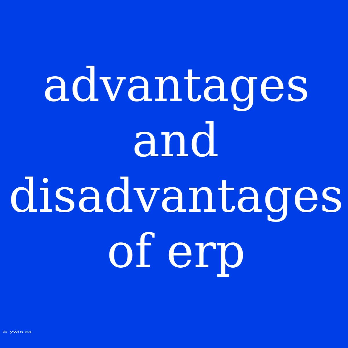 Advantages And Disadvantages Of Erp