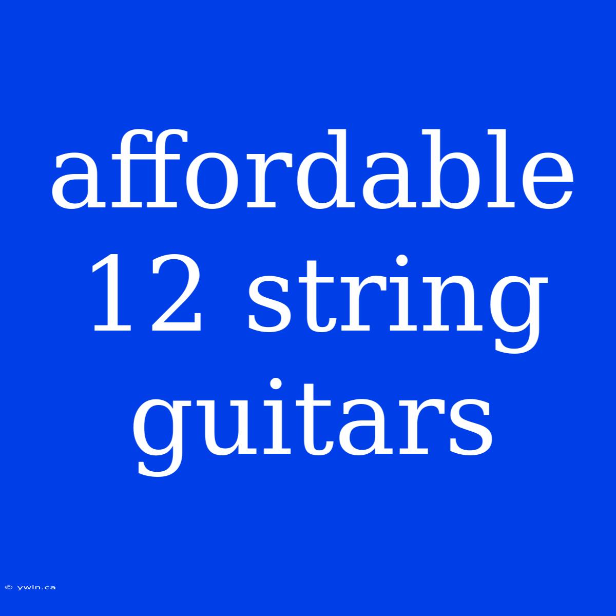 Affordable 12 String Guitars