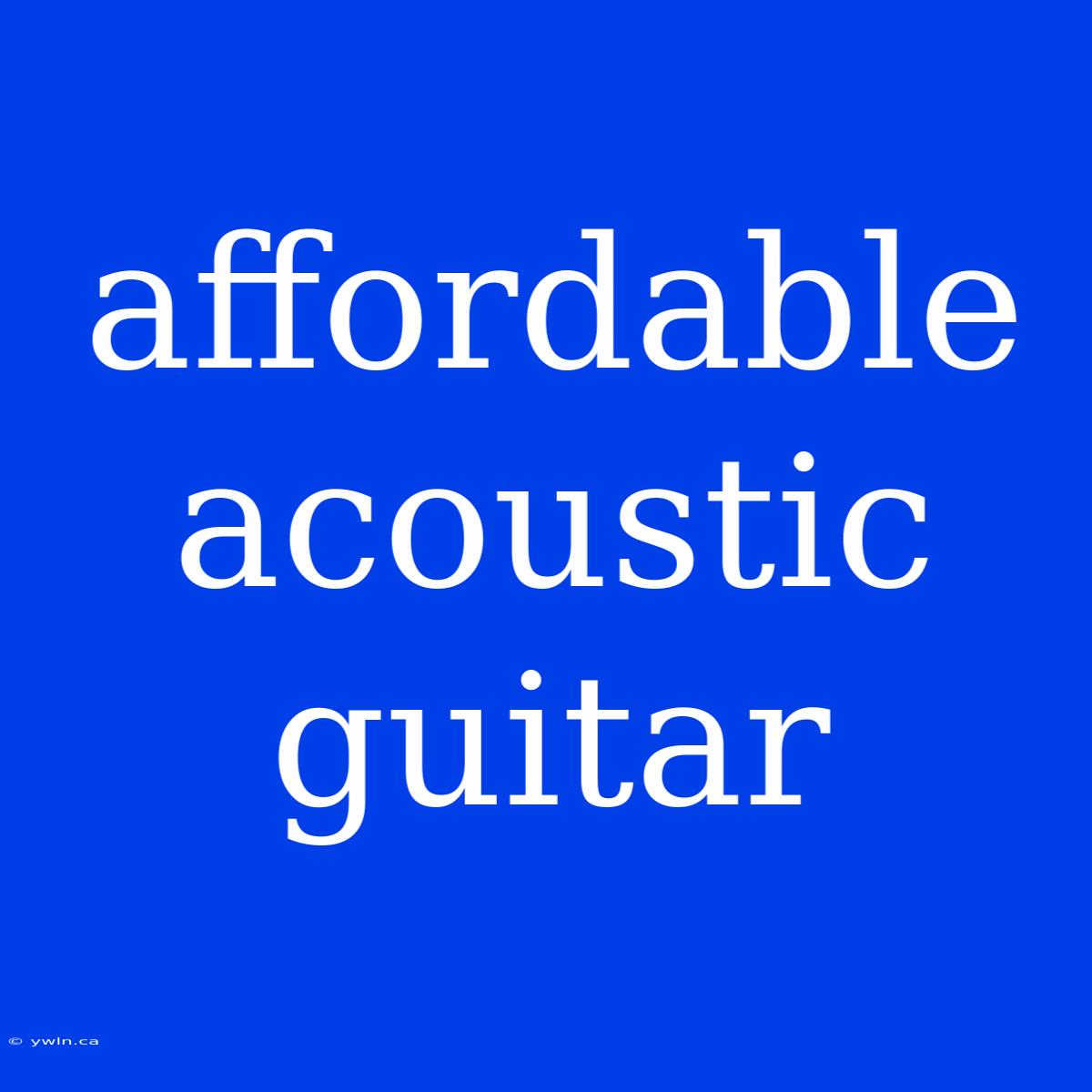 Affordable Acoustic Guitar