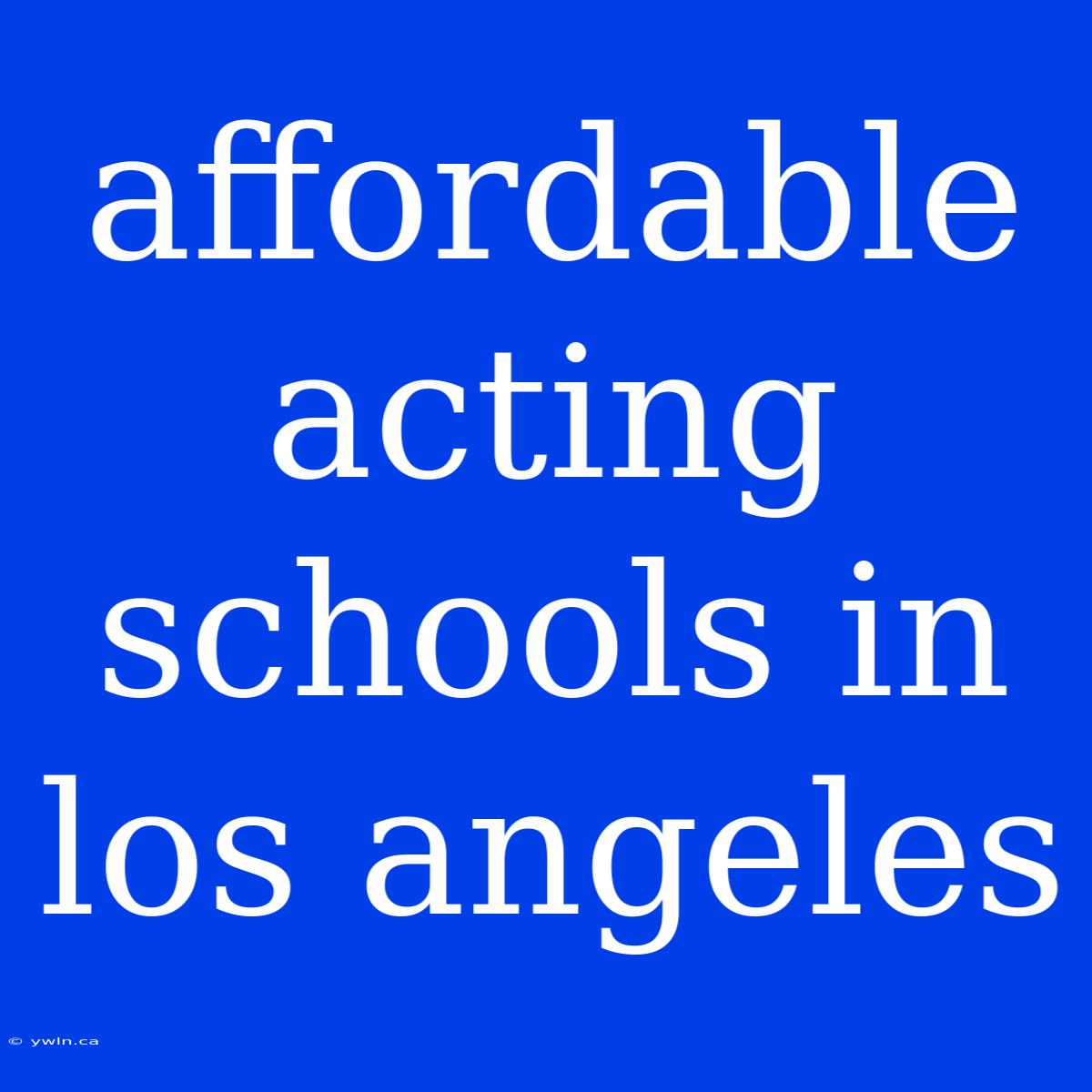 Affordable Acting Schools In Los Angeles