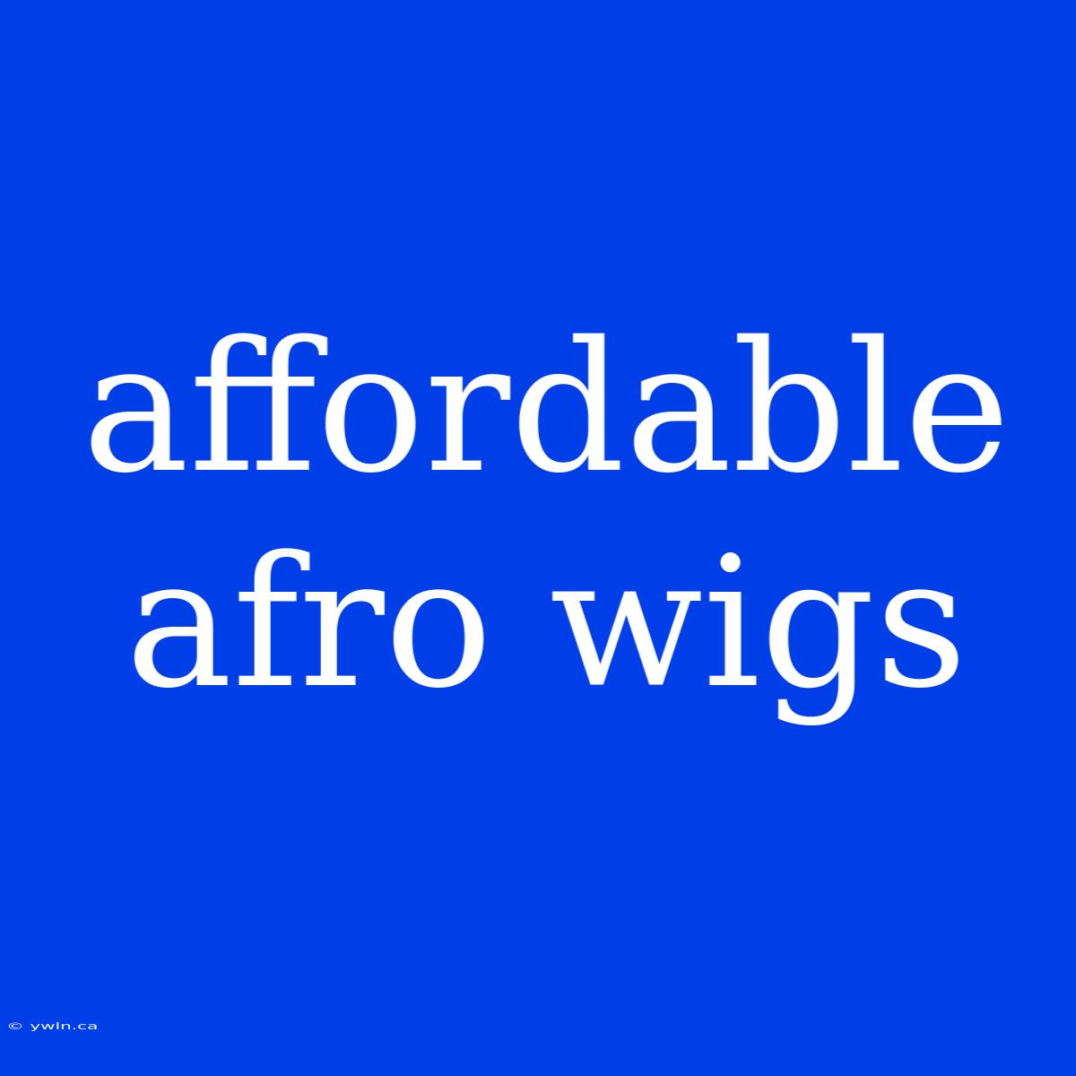 Affordable Afro Wigs