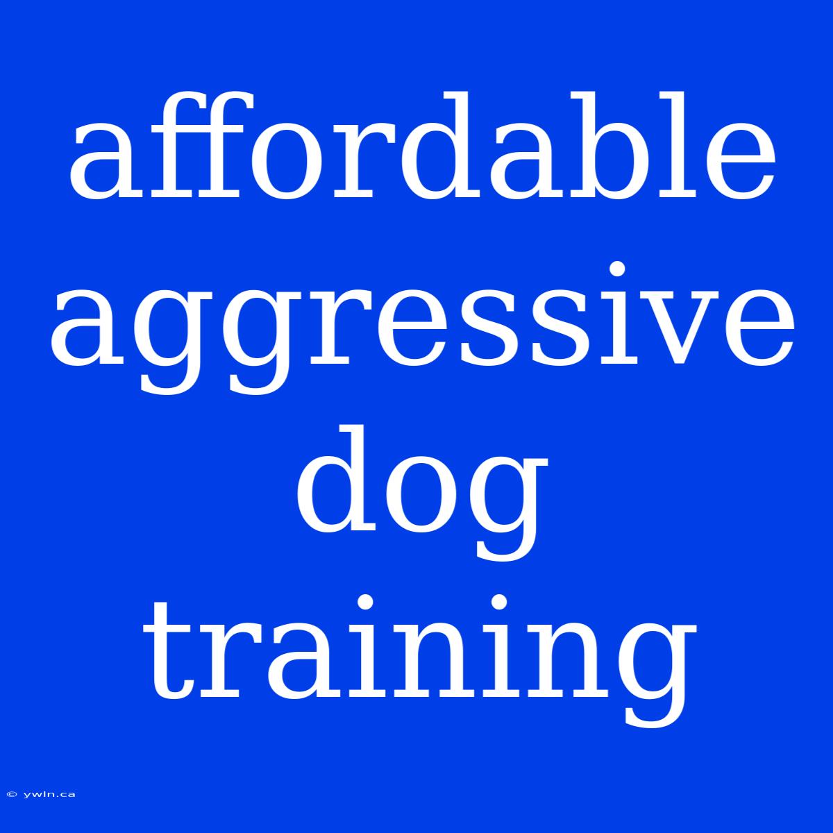 Affordable Aggressive Dog Training