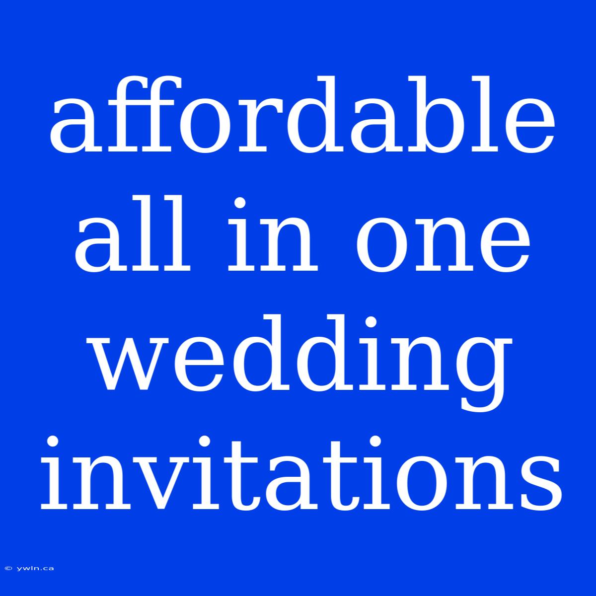 Affordable All In One Wedding Invitations