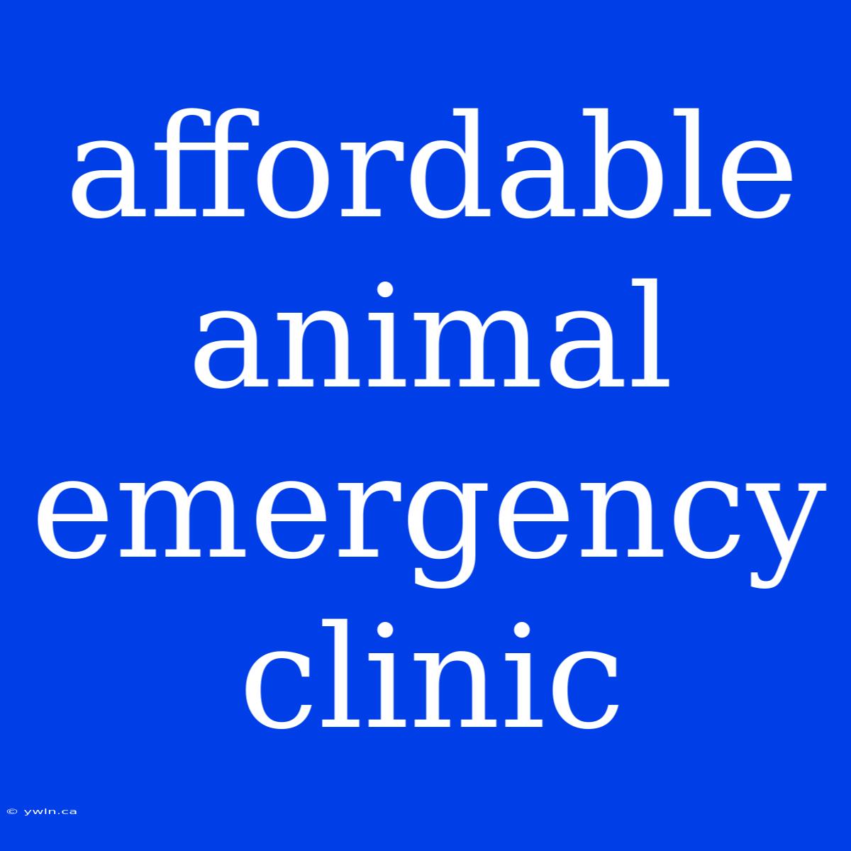 Affordable Animal Emergency Clinic