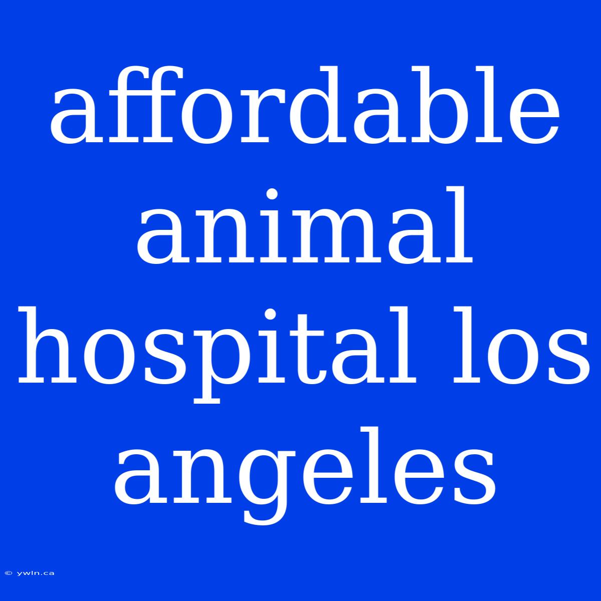 Affordable Animal Hospital Los Angeles