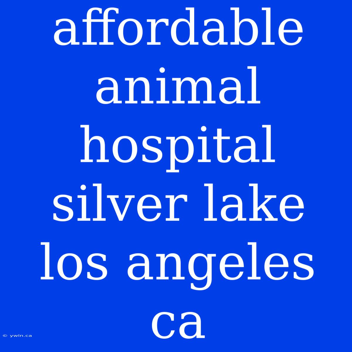 Affordable Animal Hospital Silver Lake Los Angeles Ca