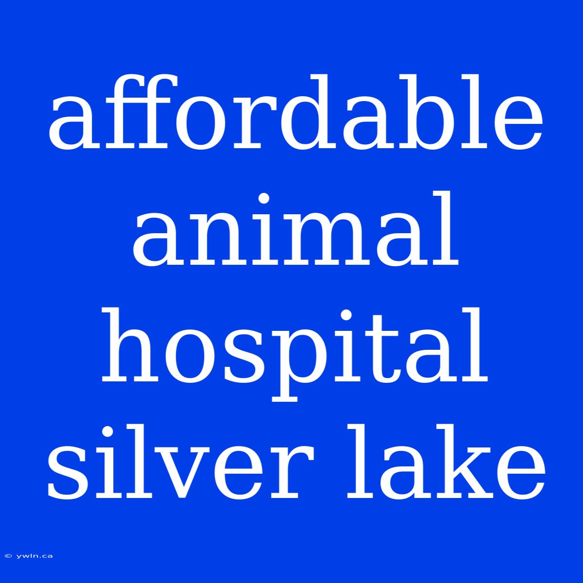 Affordable Animal Hospital Silver Lake