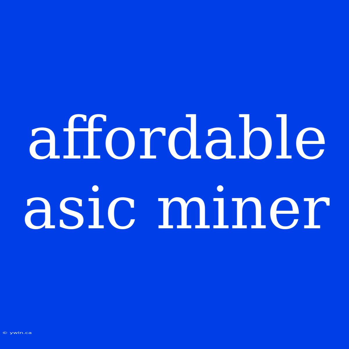 Affordable Asic Miner