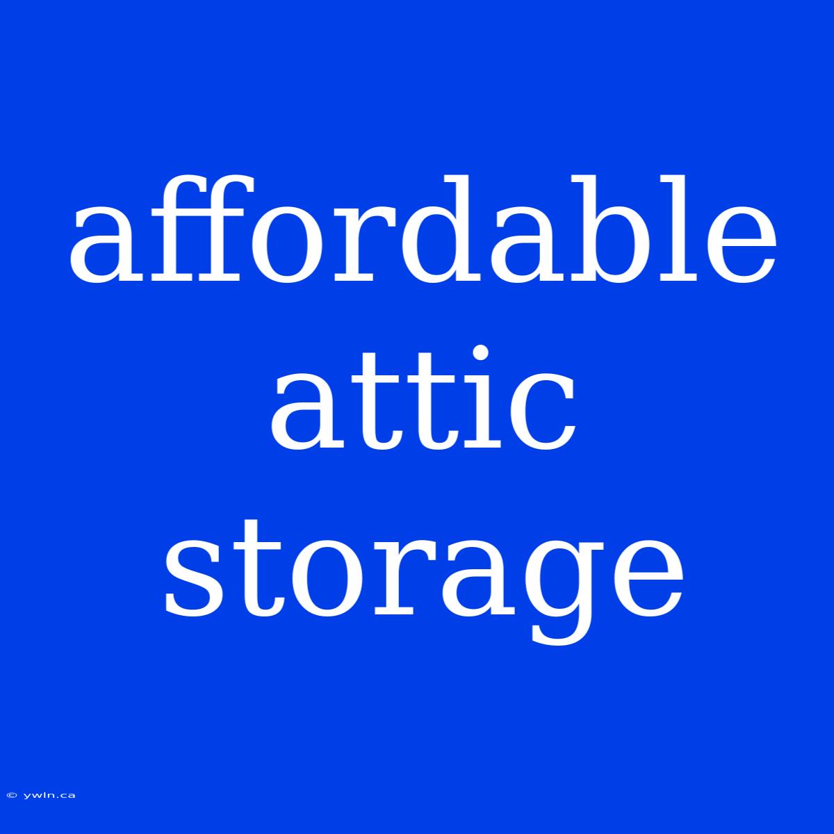 Affordable Attic Storage